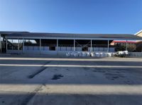 玉米種子果穗烘干機